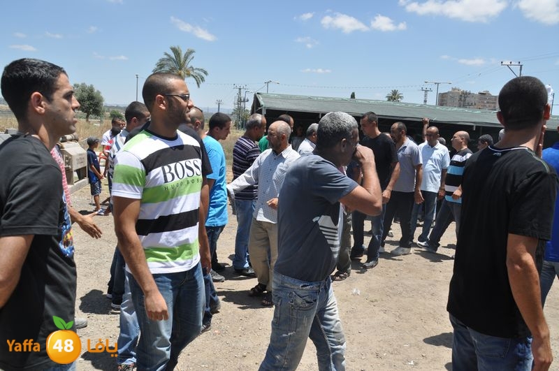 sol7desoqylud615 (59).JPG